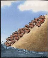 lemmings should the ministry be pragmatic