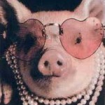 swins snout women
